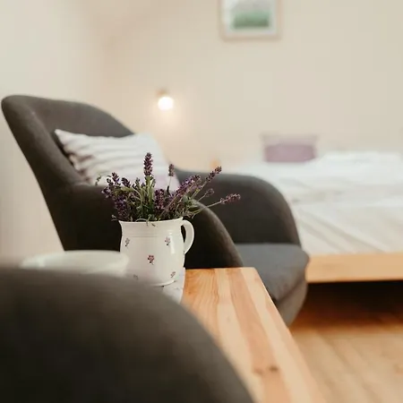 Aparthotel Stříbrník